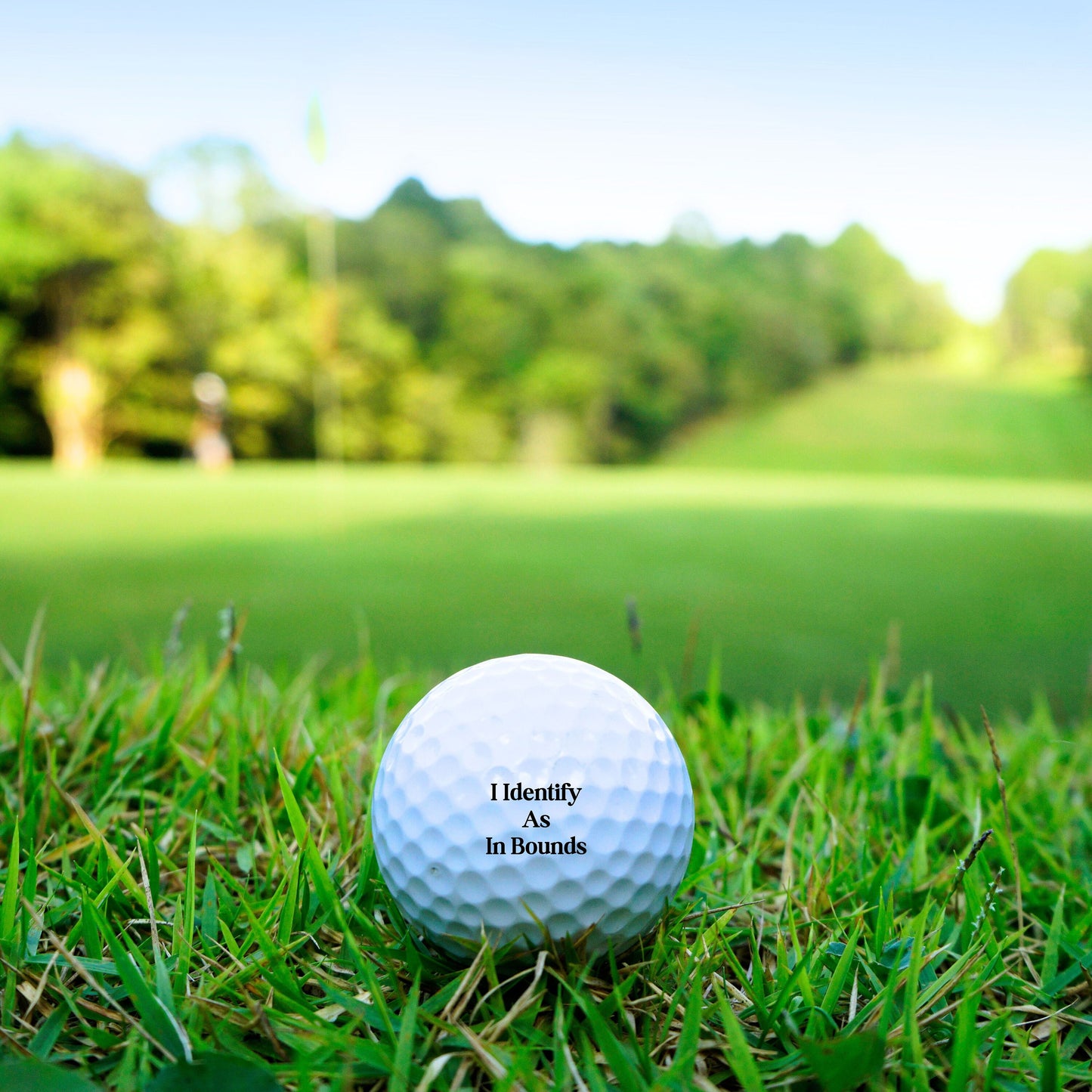 Funny Golf Balls, Perfect Gift for Husband, Golf Ball Gift, Gift for Dad, Gift for Golfer, Golf Gifts for Men, Golf Ball Christmas Gift