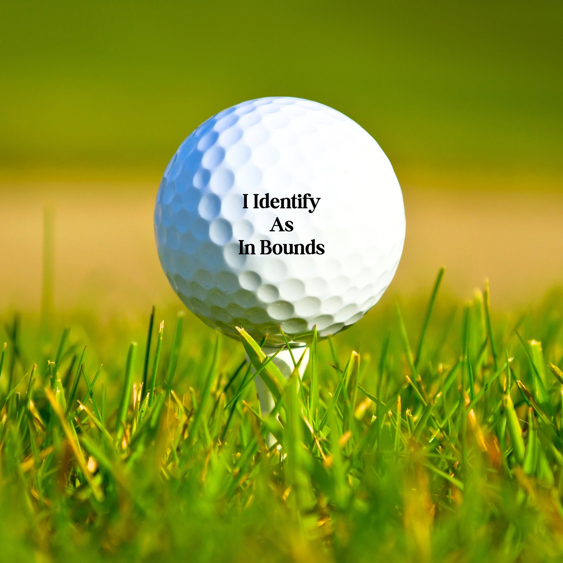 Funny Golf Balls, Perfect Gift for Husband, Golf Ball Gift, Gift for Dad, Gift for Golfer, Golf Gifts for Men, Golf Ball Christmas Gift