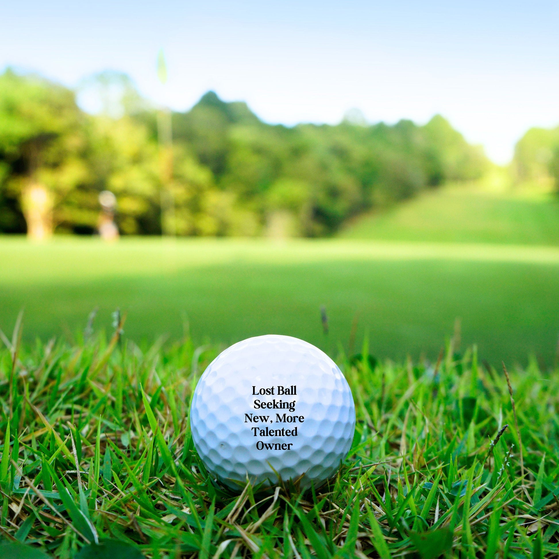 Funny Golf Balls, Golf Gifts for Men, Gift for Dad, Gift for Husband, Father's Day Gift, Mens Golf Gift, Golf Ball Gift, Best Golf Gift Idea