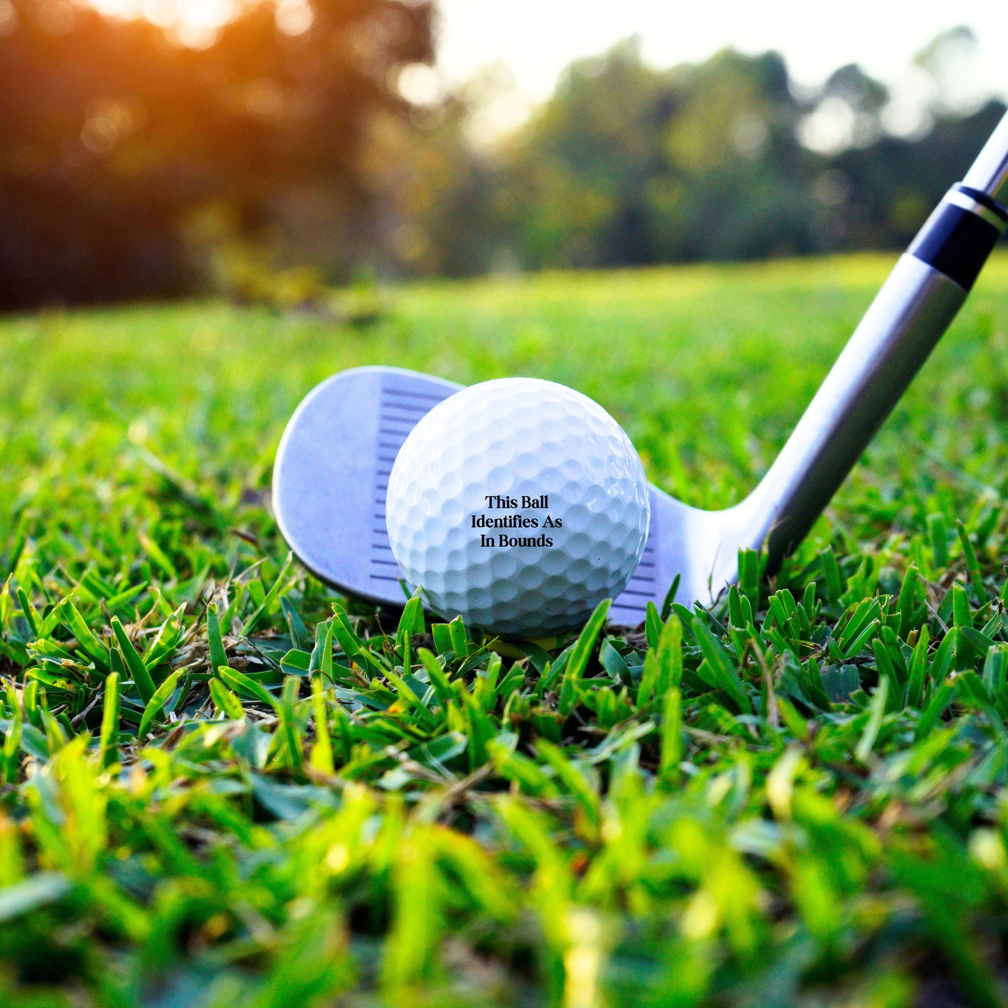 Funny Golf Balls, Perfect Gift for Husband, Golf Ball Gift, Gift for Dad, Gift for Golfer, Golf Gifts for Men, Golf Ball Christmas Gift