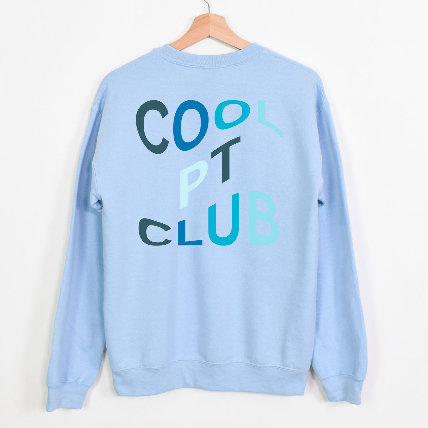 Cool PT Club Sweatshirt for Physical Therapy Cool Physical Therapy Sweatshirt for Physical Therapist Cool Physical Therapist Sweatshirt Gift