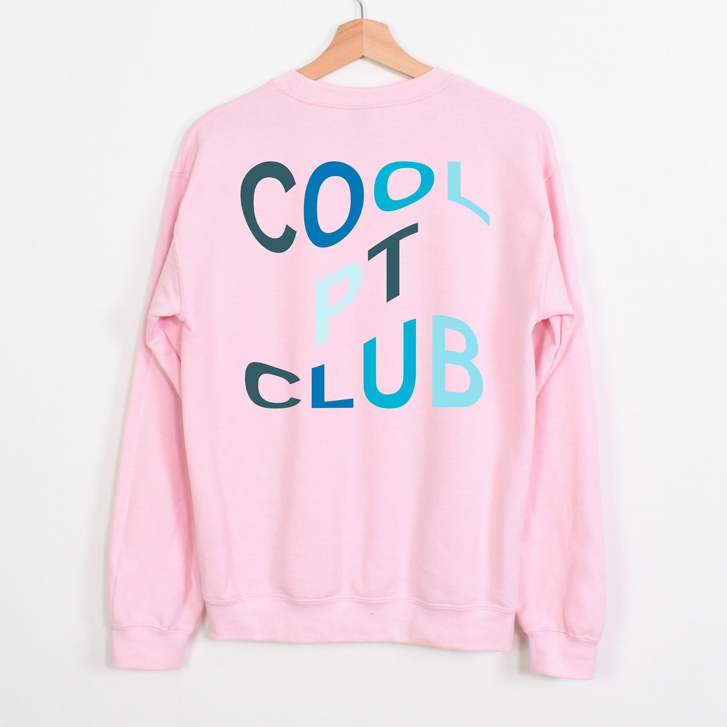 Cool PT Club Sweatshirt for Physical Therapy Cool Physical Therapy Sweatshirt for Physical Therapist Cool Physical Therapist Sweatshirt Gift