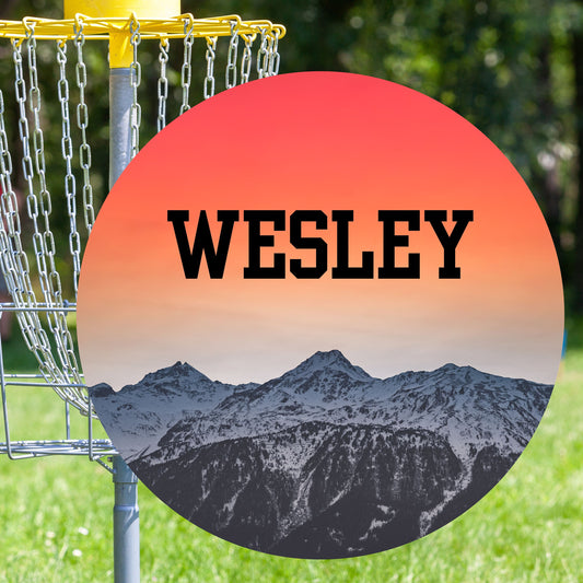 Custom Disc Golf Disc, Personalized Disc Golf Gift, Gift for Disc Golfer, Disc Golf Gift Ideas, Disc Golf Driver, Putter, Gift for Husband