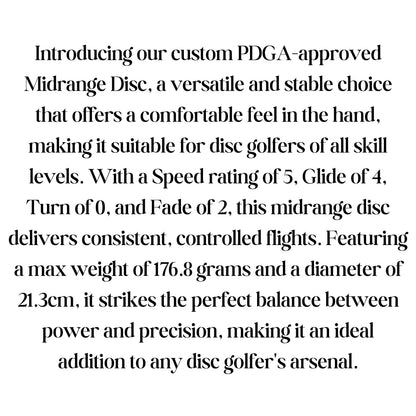 Custom Disc Golf Disc, Personalized Disc Golf Gift, Gift for Disc Golfer, Disc Golf Gift Ideas, Disc Golf Driver, Putter, Gift for Husband
