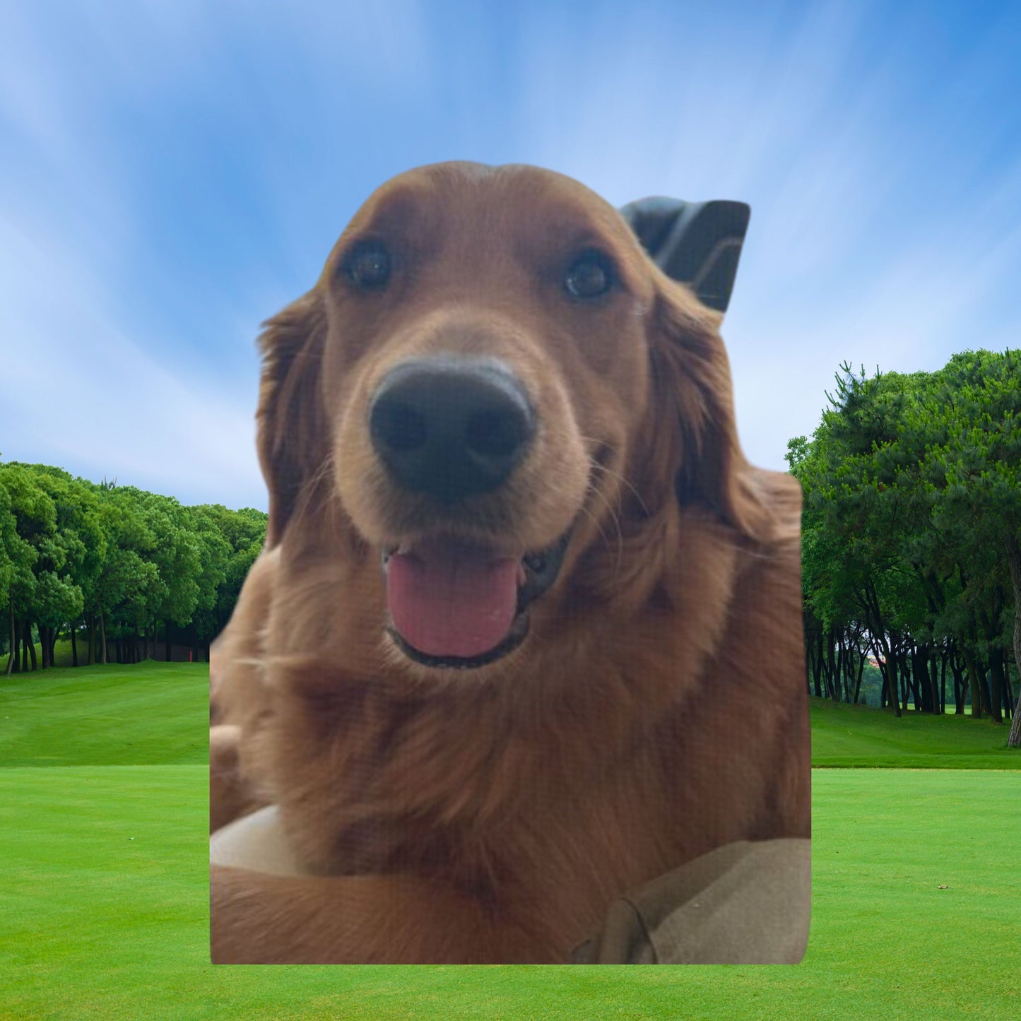 Custom Golf Towel, Golf Bag Towel, Dog Golf Towel, Dog Dad Gift, Dog Mom Gift, Gift for Dog Parent, Xmas Golf Dog Gift, Golf Gift for Men