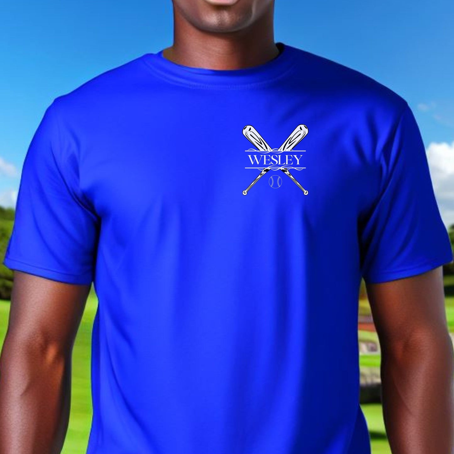 Custom Baseball Shirt, Personalized Baseball Tshirt, Customized Hockey Tee, Gift for Baseball Player, Baseball T-shirt Gift, Baseball Gift